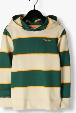 groene vingino truien/vesten neal