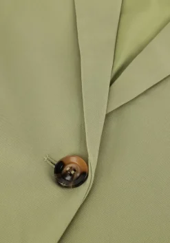 groene ydence blazer blazer maisie