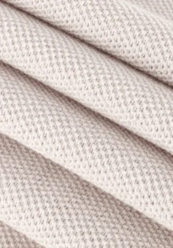 kit saint steve coltrui leroy