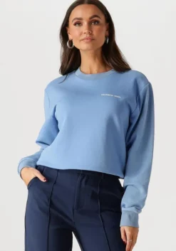 lichtblauwe colourful rebel sweater logo circle relaxed sweat