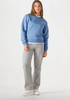 lichtblauwe colourful rebel sweater logo circle relaxed sweat