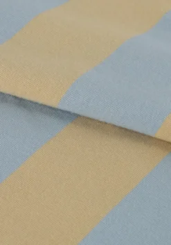 lichtblauwe daily7 t-shirt t-shirt big stripe