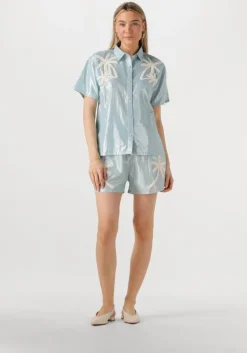 lichtblauwe louizon blouses boderick