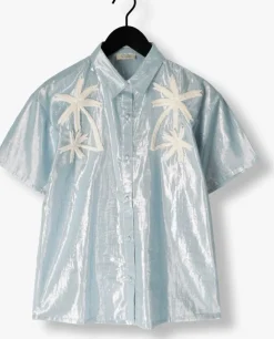 lichtblauwe louizon blouses boderick