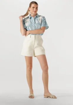 lichtblauwe louizon blouses boderick