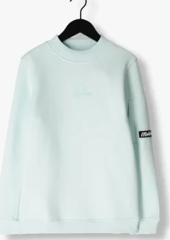 lichtblauwe malelions sweater turtle sweater