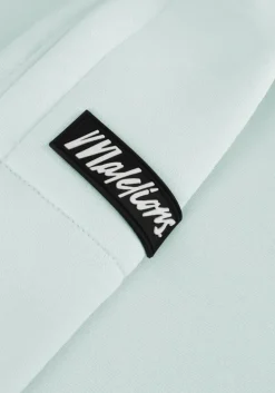 lichtblauwe malelions sweater turtle sweater