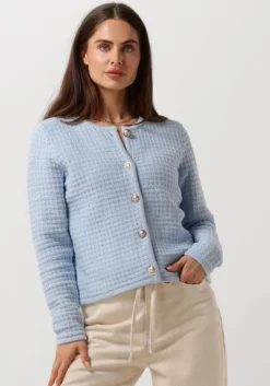 lichtblauwe neo noir vest limone knit jacket