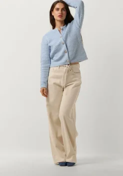 lichtblauwe neo noir vest limone knit jacket