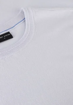 lichtblauwe saint steve polo niels