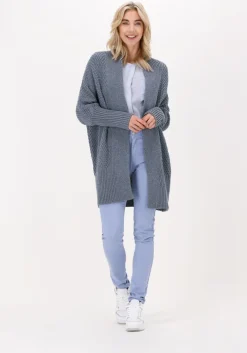 lichtblauwe simple blouses woven blouse colette stripe