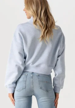 lichtblauwe tommy jeans trui tjw bxy crp badge 1/4zip