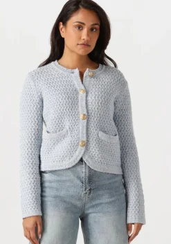 lichtblauwe vanessa bruno vest dorina