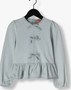 lichtblauwe z8 top octavia