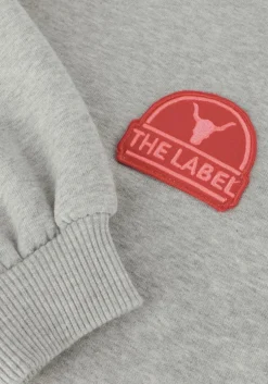 lichtgrijze alix mini mini jurk ruffles sweat dress