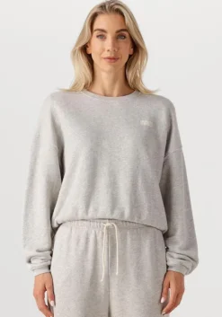 lichtgrijze american vintage sweater kodytown woman