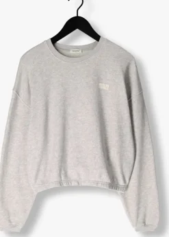 lichtgrijze american vintage sweater kodytown woman