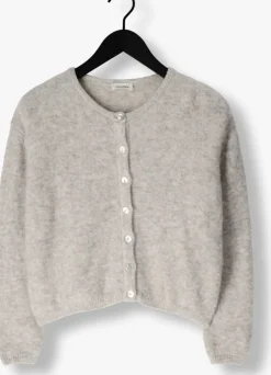 lichtgrijze american vintage vest vitow cardigan