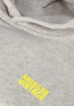 lichtgrijze american vintage truien/vesten kodytown 1