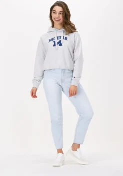 lichtgrijze champion trui hooded sweatshirt 115110