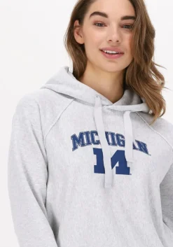 lichtgrijze champion trui hooded sweatshirt 115110