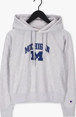 lichtgrijze champion trui hooded sweatshirt 115110