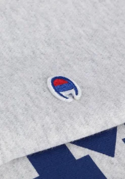 lichtgrijze champion trui hooded sweatshirt 115110