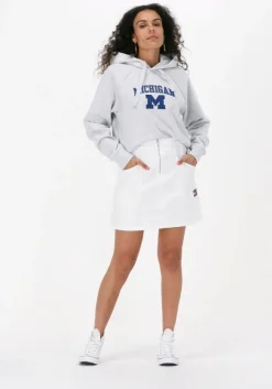 lichtgrijze champion trui hooded sweatshirt 115110