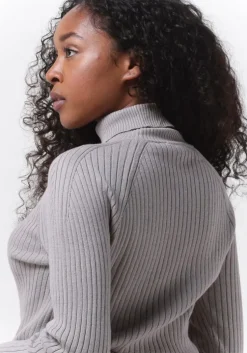 lichtgrijze esmé studios coltrui june roll neck knit