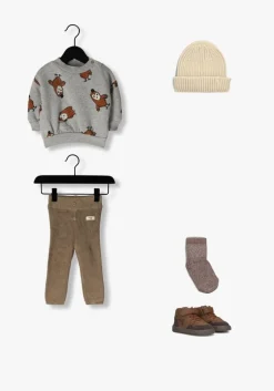 lichtgrijze lötiekids sweater w24-87bb-94