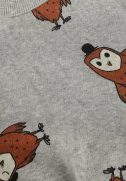 lichtgrijze lötiekids sweater w24-87bb-94