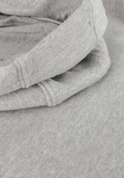 lichtgrijze lyle & scott trui classic oth hoody fleece
