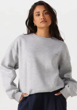 lichtgrijze modström sweater tiamd sweat