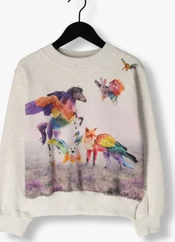 lichtgrijze molo sweater marge