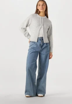 lichtgrijze neo noir vest lily pearl knit cardigan