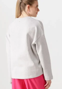 lichtgrijze pom amsterdam trui floral grey melange