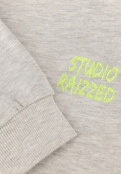 lichtgrijze raizzed sweater cela