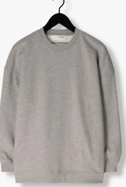 lichtgrijze selected femme sweater slfgia yrsa ls crew neck sweat