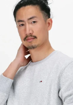 lichtgrijze tommy jeans sweater tjm regular fleece c neck