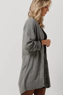 lichtgrijze vanilia vest vikke