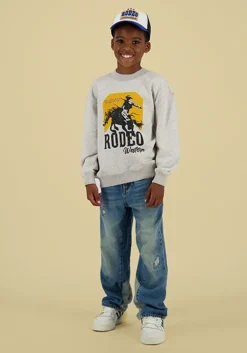 lichtgrijze vingino trui nexas