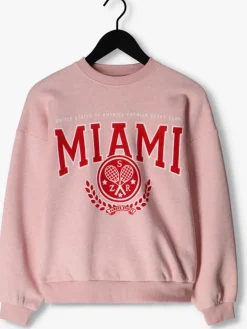 lichtroze hound sweater oversized crewneck