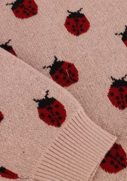 lichtroze lil' atelier trui nmflulio ls knit lil