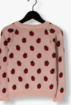 lichtroze lil' atelier trui nmflulio ls knit lil