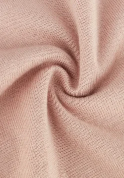 lichtroze saint steve polo chris