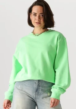 lime circle of trust sweater amina sweat
