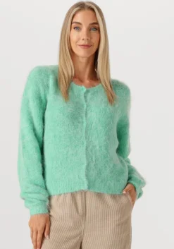 mint american vintage vest niby