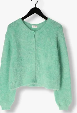 mint american vintage vest niby