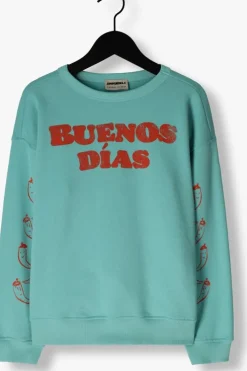 mint ammehoela sweater rocky