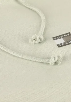 mint tommy jeans sweater tjm reg badge hoodie ext